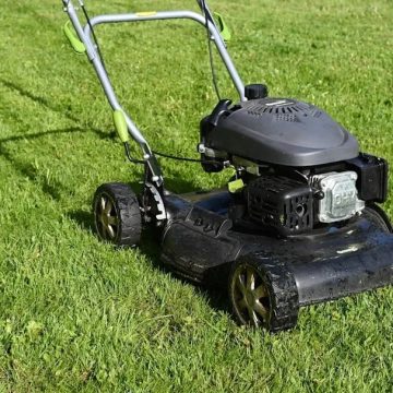 8 Everyday Backyard Tools That Could Soon Face Restrictions