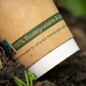 The Secret Reason Fast Food Chains Are Quietly Changing Their Drink Cups