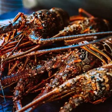 7 Red Flags at a Seafood Restaurant That Mean You Should Walk Right Out, According to Chefs
