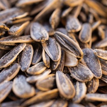 6 Old-School Snacks Grandpa Loved That Still Beat Anything on Shelves Today - Plus 5 More Worth Bringing Back