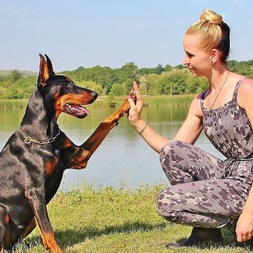 9 Dog Breeds That Attach to One Person So Intensely It Unsettles Everyone Around Them