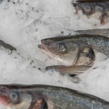 9 Red Flags to Look For at the Seafood Counter Before You Buy a Single Pound