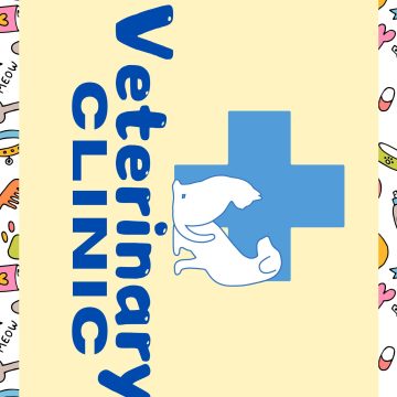 veterinary clinic pretend play