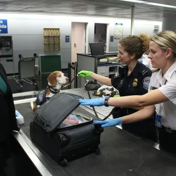 9 Mistakes You Didn't Realize Airport Security Dislikes