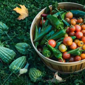 The Top 7 Cities Building Farm-to-Table Systems From Scratch