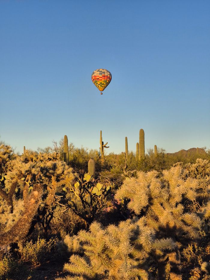 A colorful hot air balloon floating over a desert landscape with cacti and clear blue sky.