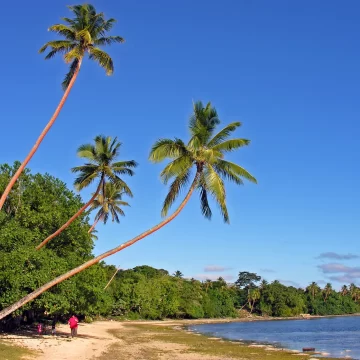 The 10 Countries Where Remote Workers Pay Little or No Income Tax