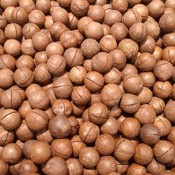 Are You Feeding Your Pet Any of These 8 Foods? Vets Warn Owners Who Find Out Too Late