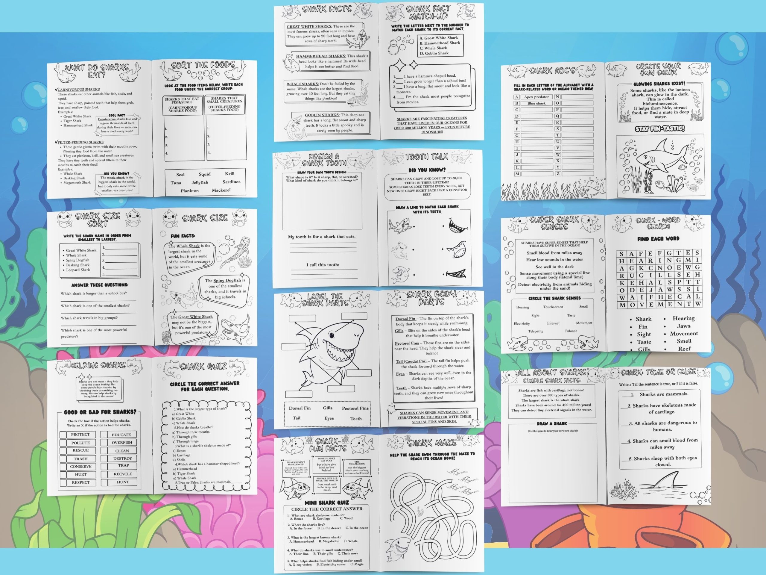 shark fact activity booklet