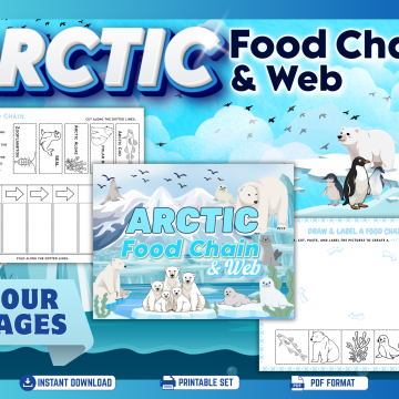 Arctic Food Chain mockup