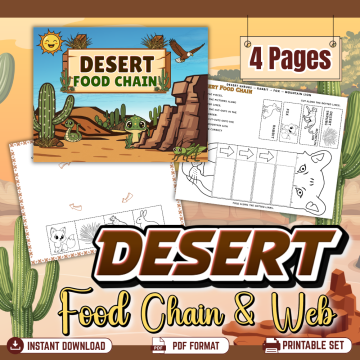 Desert Food Chain Worksheets