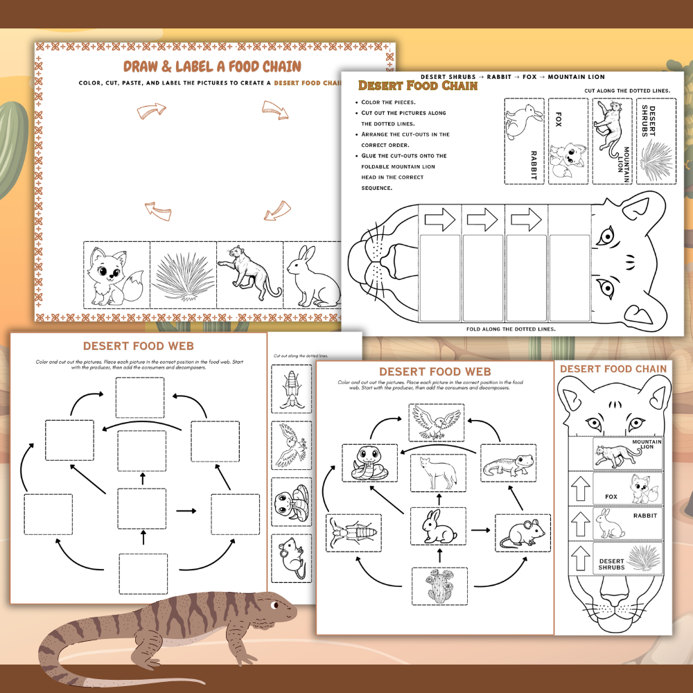 Desert Food Chain Worksheets