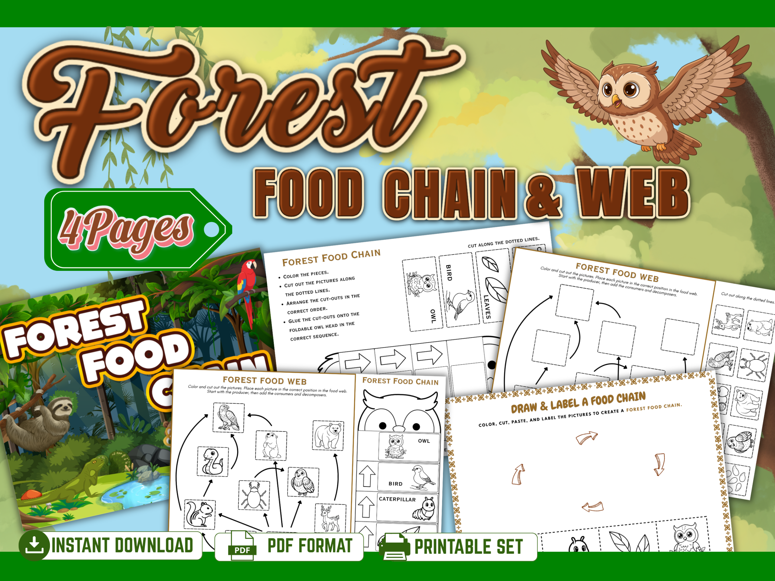 forest food chain mockup