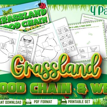 Grassland food chain and food web 4-page printable science activity set for elementary students and homeschool learning. mockup