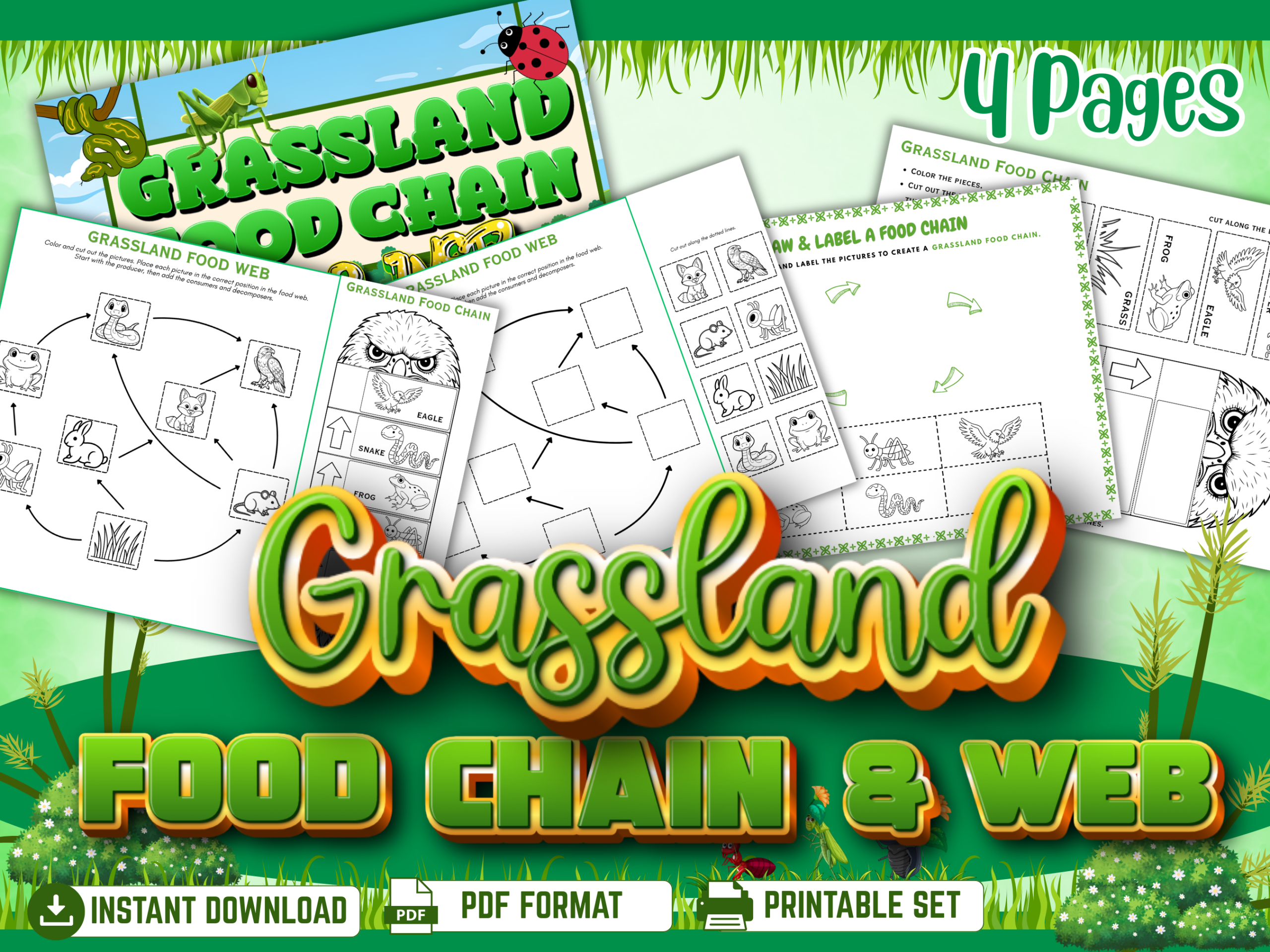 Grassland food chain and food web 4-page printable science activity set for elementary students and homeschool learning. mockup
