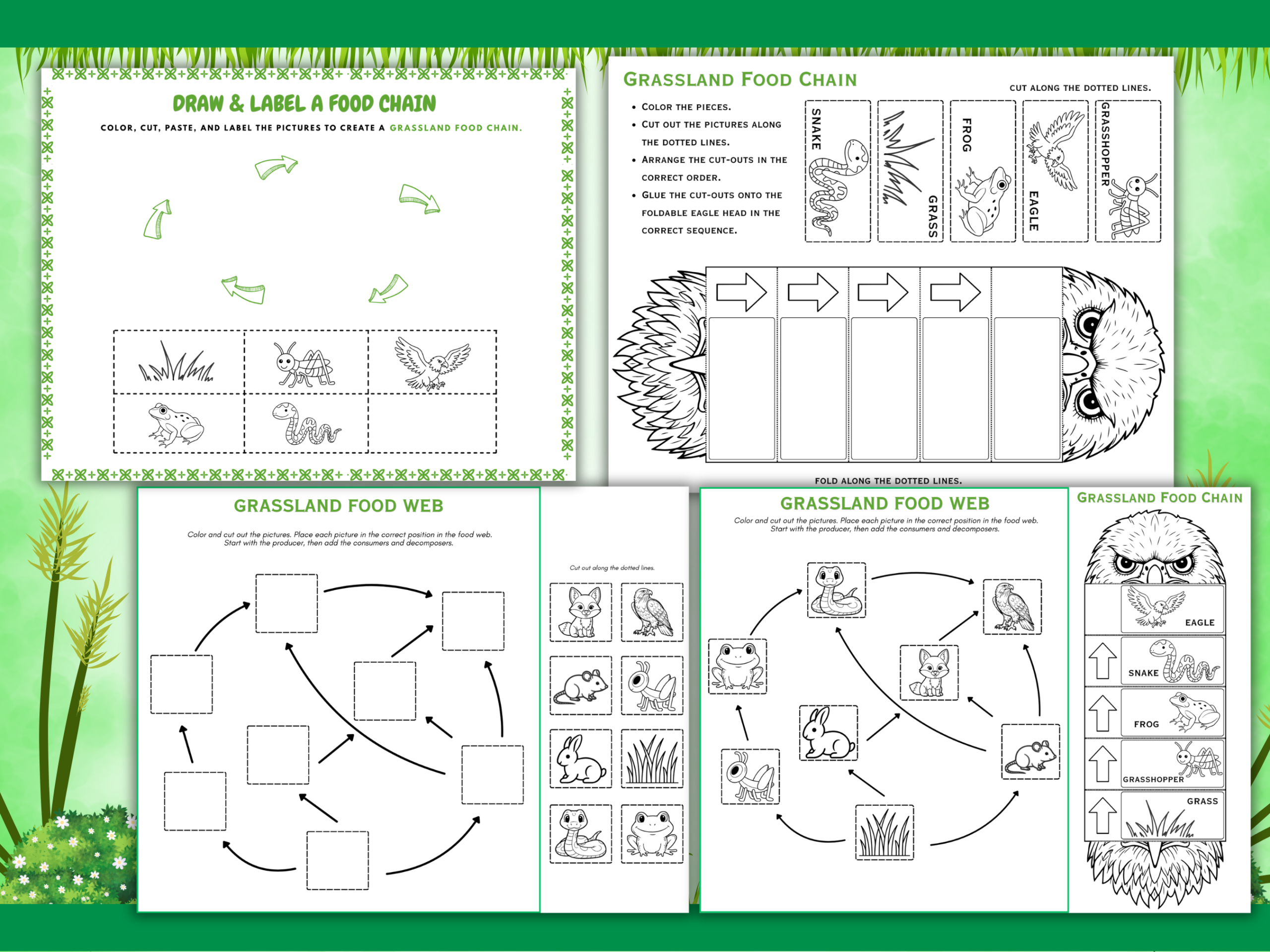 Grassland food chain and food web 4-page printable science activity set for elementary students and homeschool learning. mockup