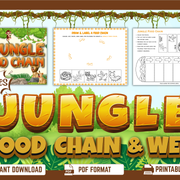 Jungle Food Chain Worksheets & Food Web Activities mockup