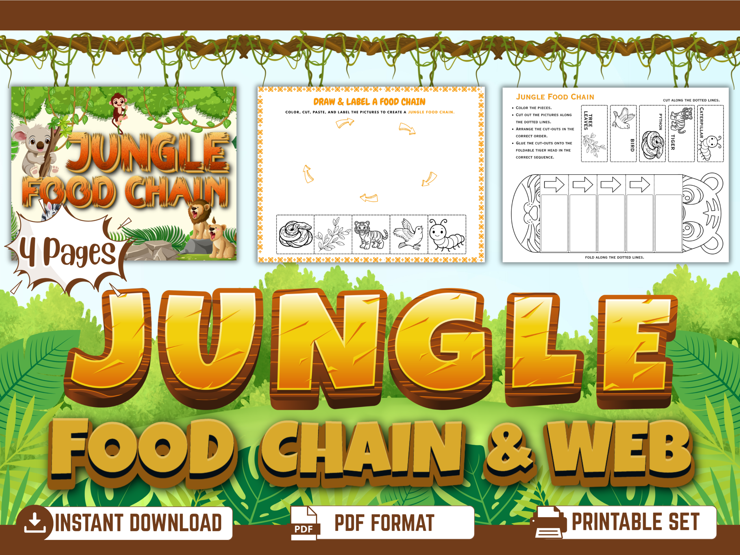Jungle Food Chain Worksheets & Food Web Activities mockup
