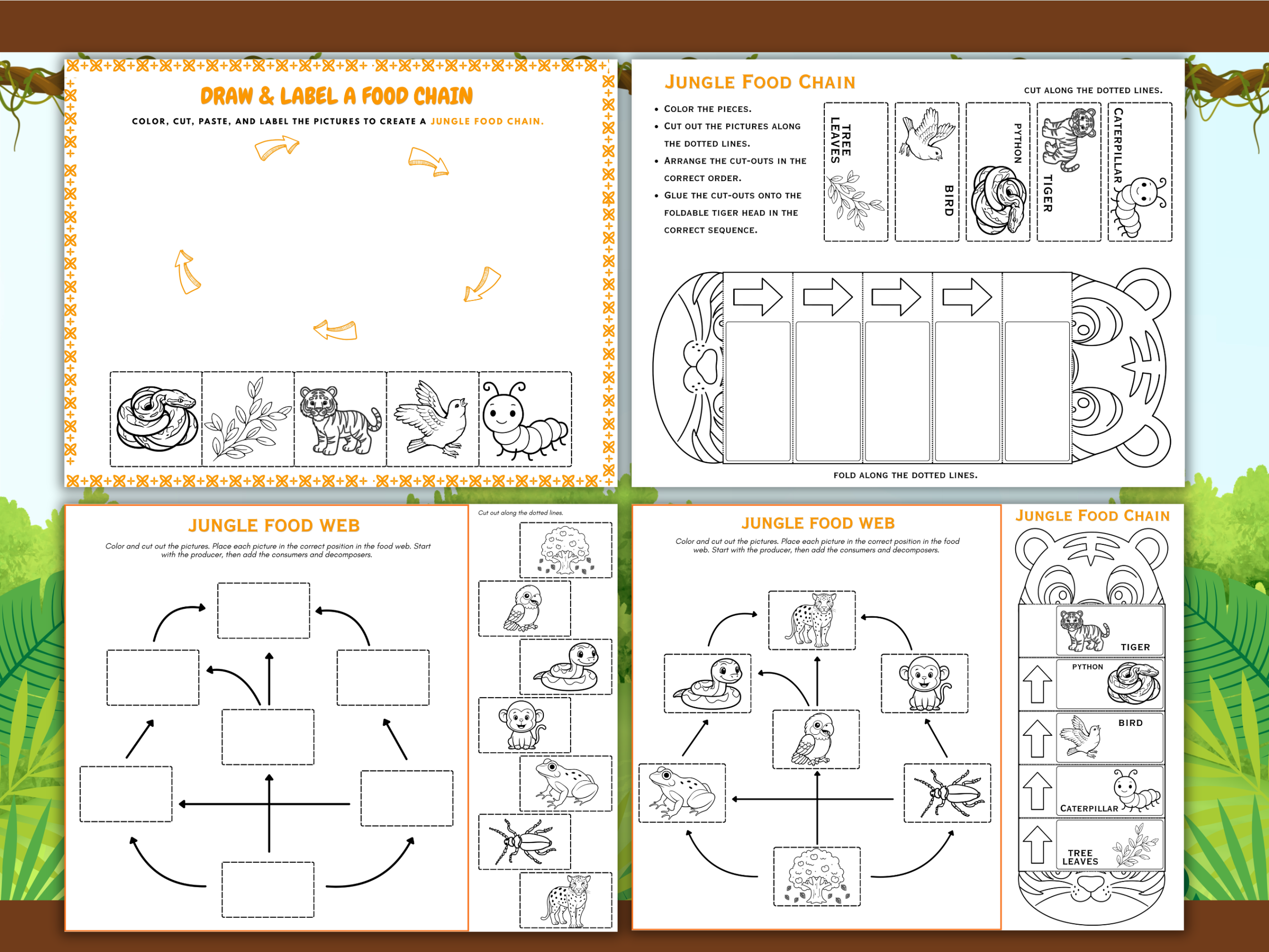 Jungle Food Chain Worksheets & Food Web Activities mockup