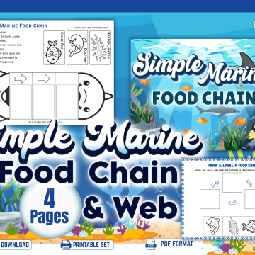 Marine Food Chain Worksheets