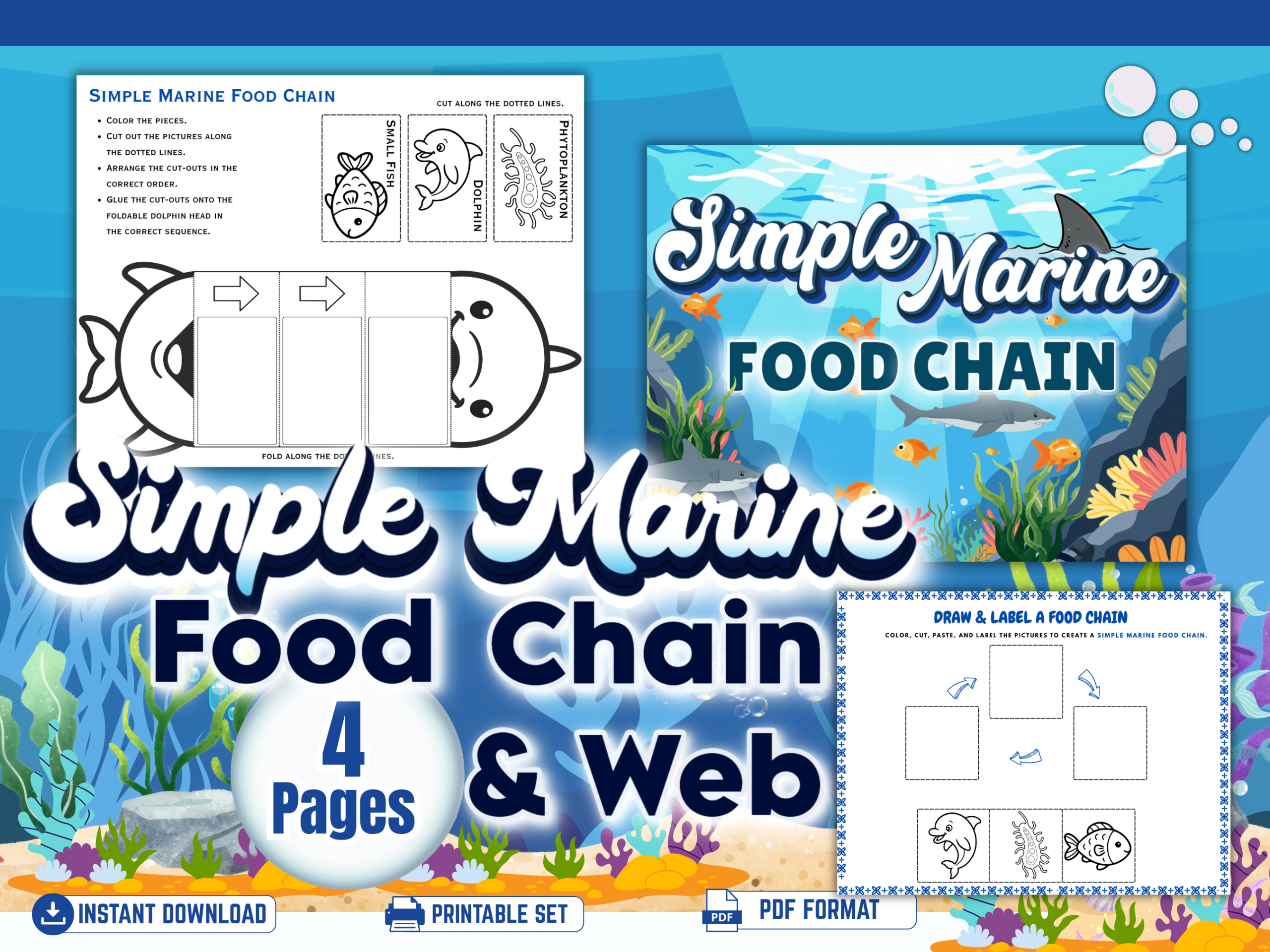 Marine Food Chain Worksheets