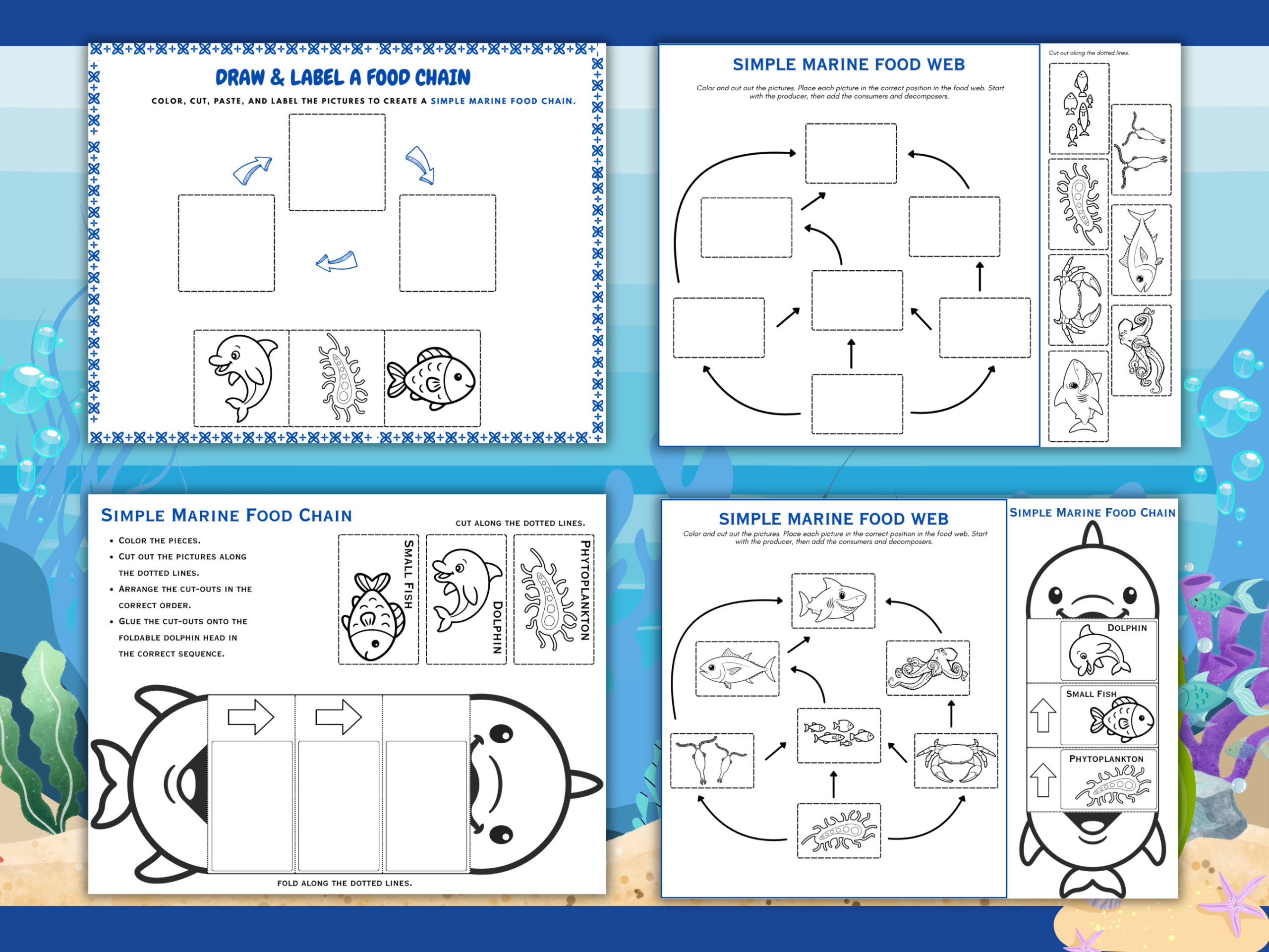 Marine Food Chain Worksheets