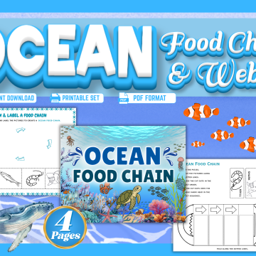Ocean Food Chain Worksheets mockup