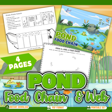 Pond Food Chain mockup