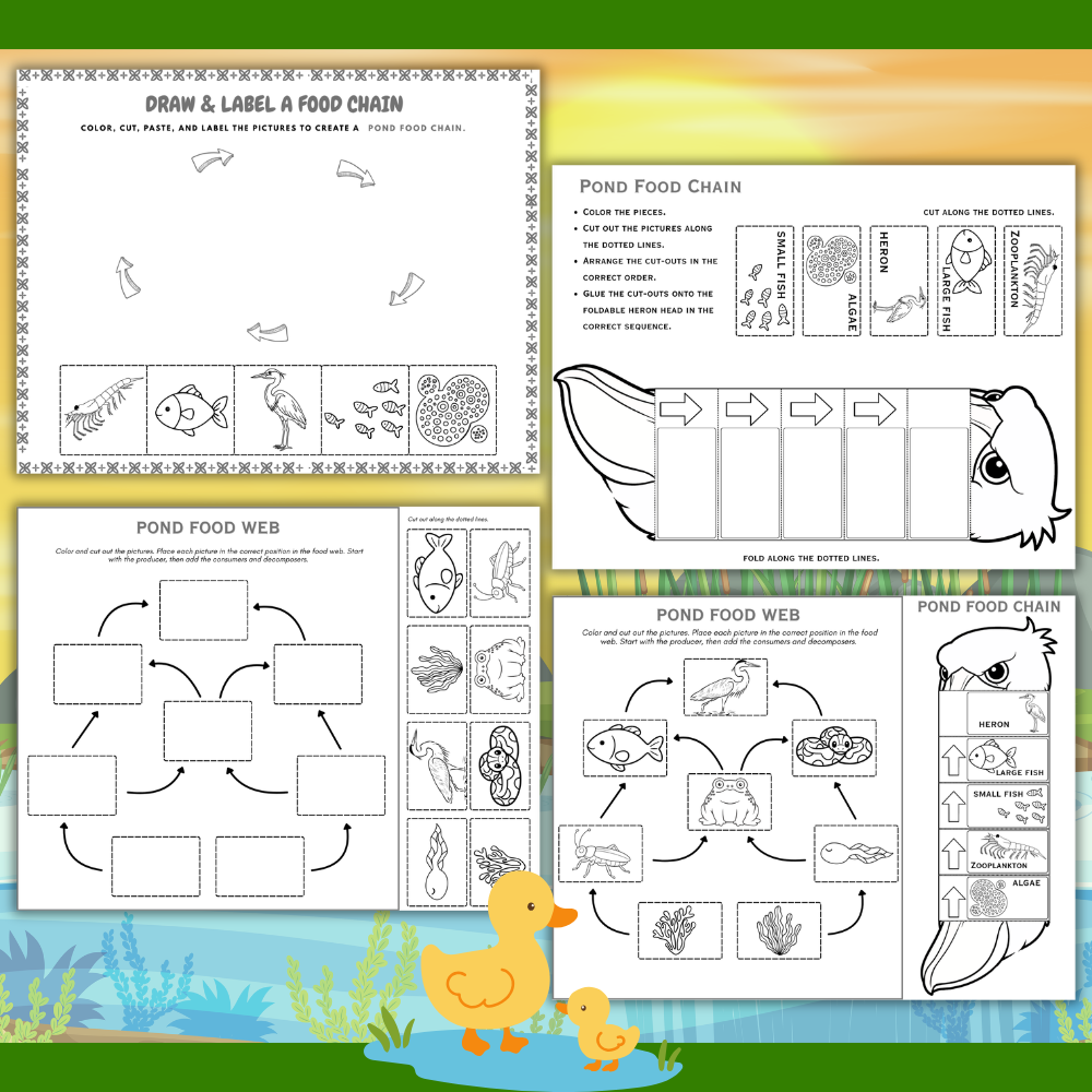 Pond Food Chain mockup