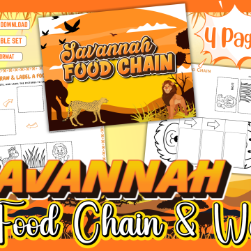 Savannah Food Chain Worksheets mockup
