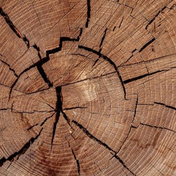 If Your Home Has Any of These 12 Subtle Details, It Was Built to Last
