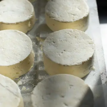 Is Wax Paper Actually Better Than Plastic for Storing Cheese?